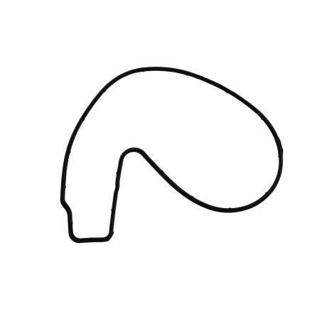 Water Pump Gasket for Sea-Doo 420950840