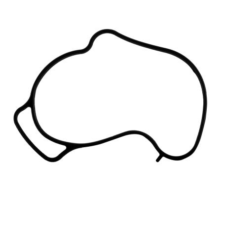 Water Pump Gasket for Sea-Doo Spark GTI-GTR-GTS 420431680 420431682