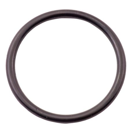 Generator O'Ring for Kawasaki 300X 310X