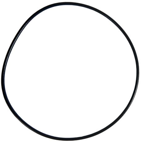 Cylinder ORing for Polaris MSX140 2003 2004